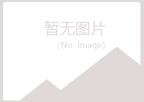 都江堰夏日金属有限公司